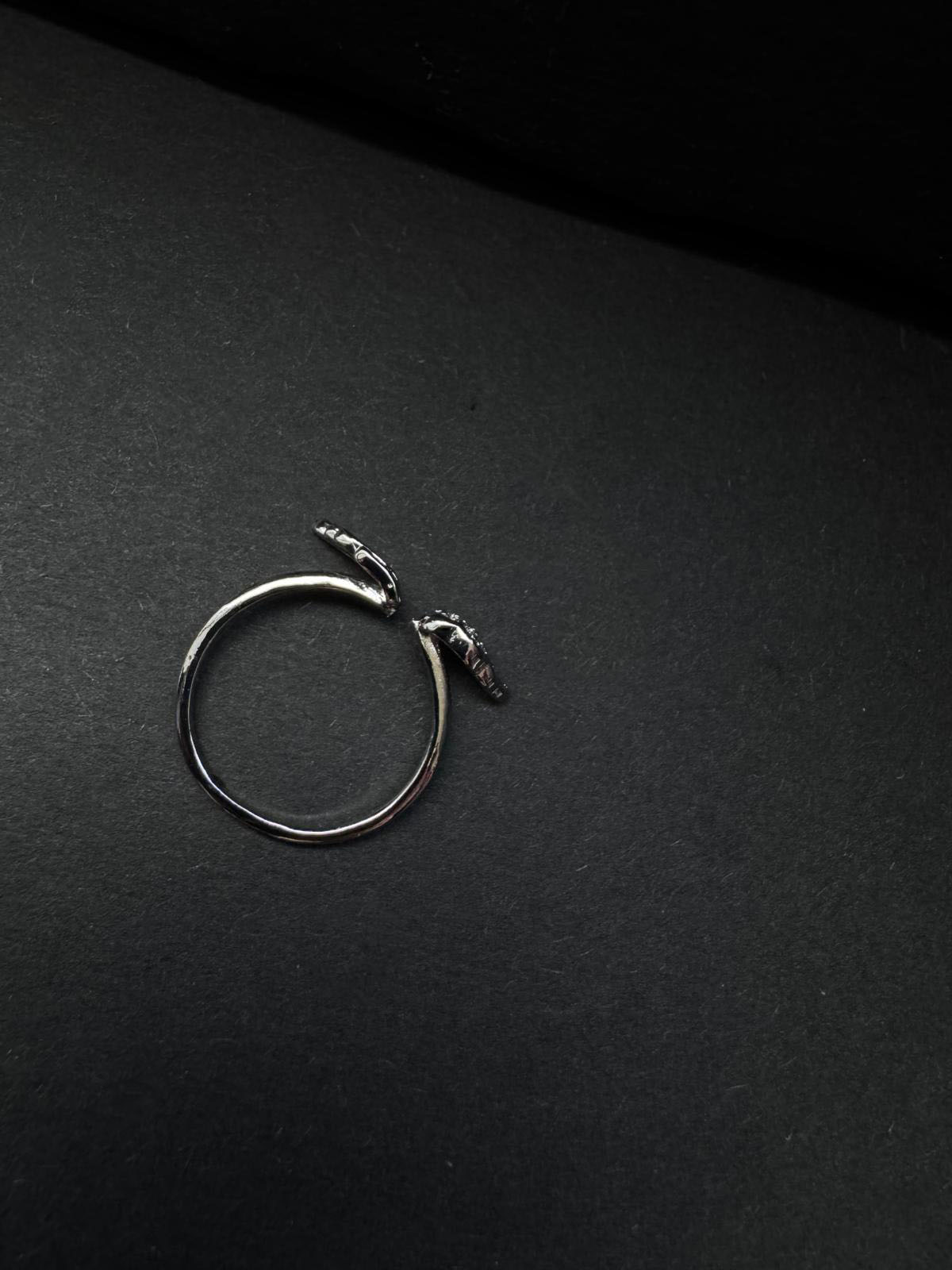 Silver Wings Ring